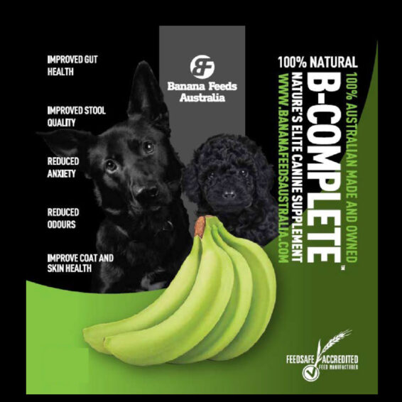 Premarket Pet Products B-Complete Canine