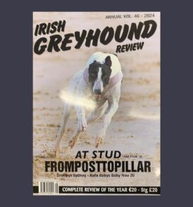 Premarket Pet Products Irish Greyhound Review Annual Volume 46 2023